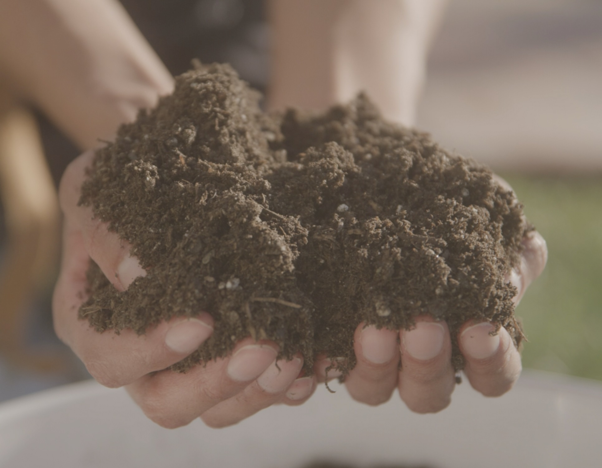 Hands holding rich, living soil from a Franklin TN homestead build