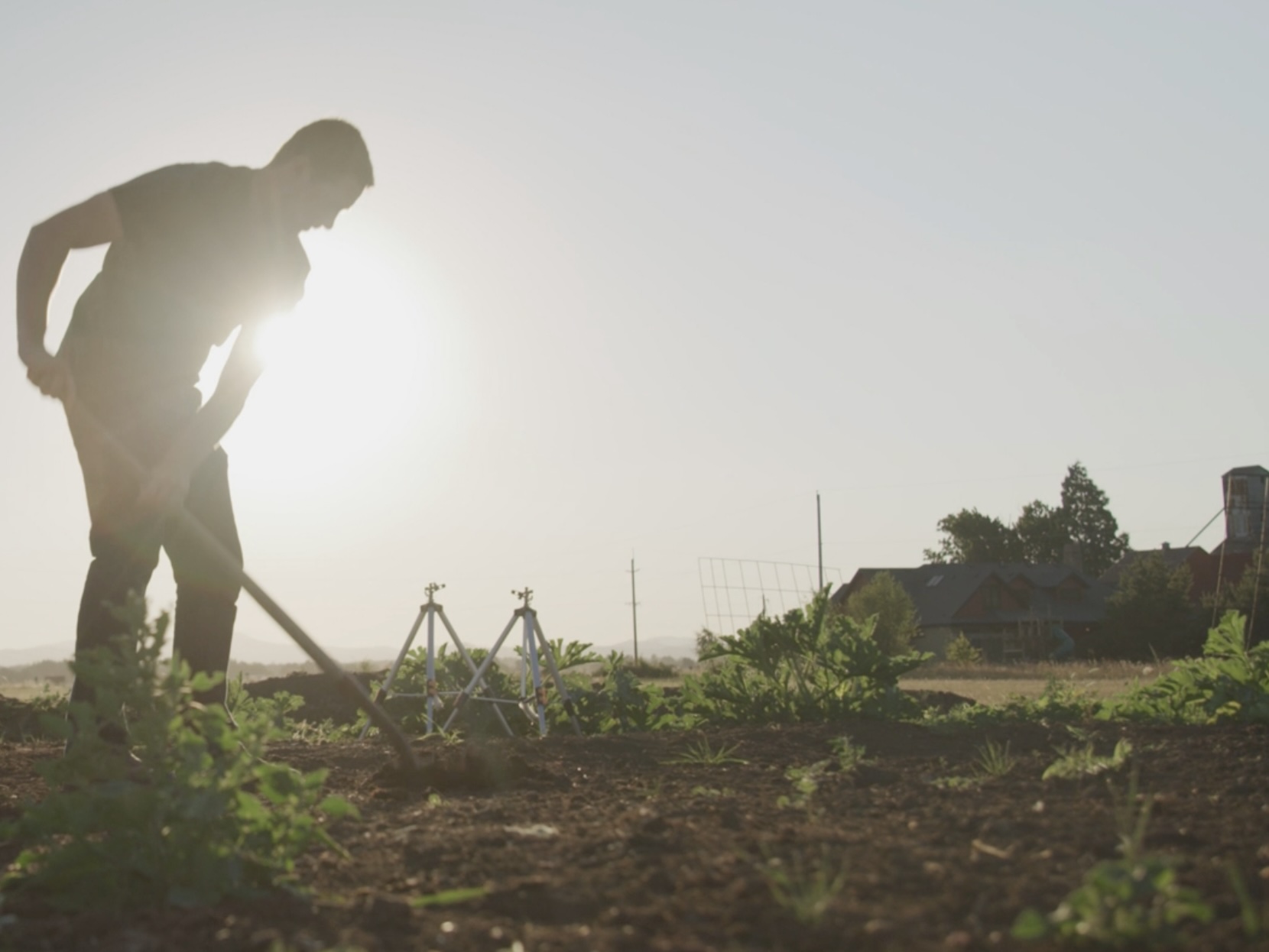 Middle Tennessee food system at sunrise with farmer hand-tilling rows