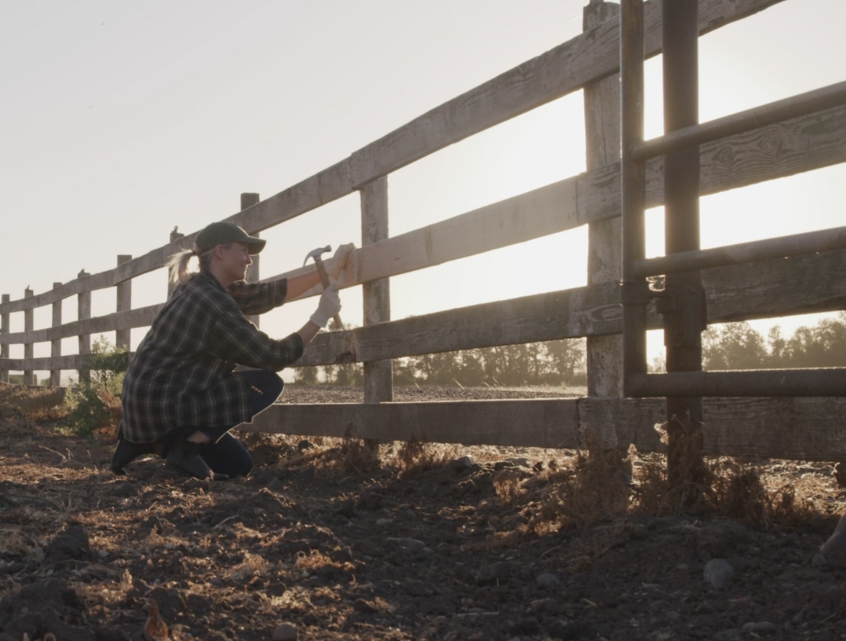 Building pasture fencing on a Tennessee homestead